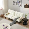 sleeper sofa